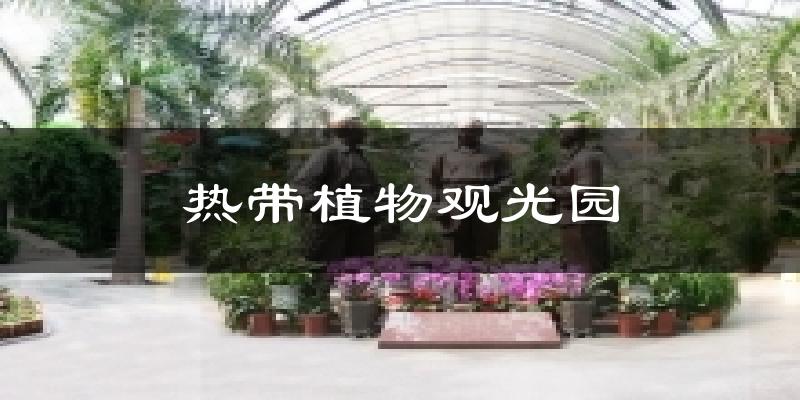 熱帶植物觀光園氣溫